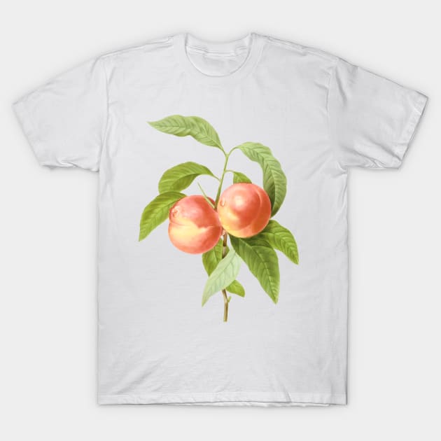 Vintage Botanical Print, Peaches by Redoute T-Shirt by PixDezines